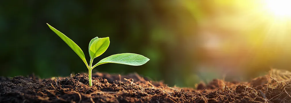 Responsabilidadesocial e ambiental