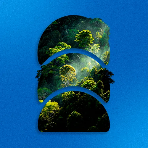 Acrilys recebe recomendação para certificação ISO 14001 e reforça compromisso com a sustentabilidade